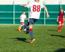 孙颖莎,樊振东开年,领跑体育明,DB真人视讯,DB真人,(Sports),DB视讯官网,DB真人官方平台