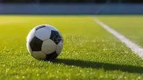 DB真人视讯 产品 121254 bef