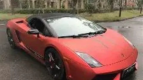 兰州大学游泳队与高水平女排再获佳绩