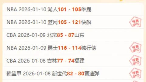 激情对决！纽卡斯尔联喷气机VS惠灵顿凤凰，澳超巅峰之战精彩比分揭晓！