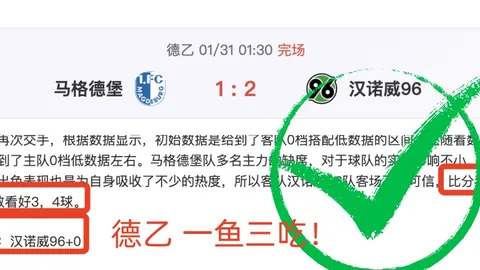 新世纪福音战士30周年短篇解读：明日香与真嗣婚姻及女儿之谜